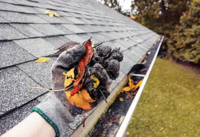 Gutter Services